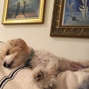 Meet your Posher, Louiza